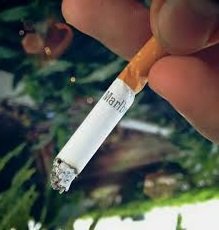 Dejar de fumar poco a poco